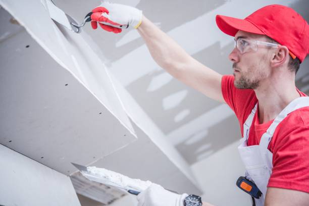 Best New Construction Drywall Services  in USA